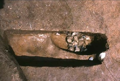 �����̒�ɕ~���ꂽ�͌���